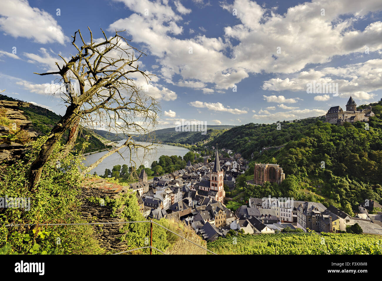 Bacharach at Rhine River, Germany Stock Photo