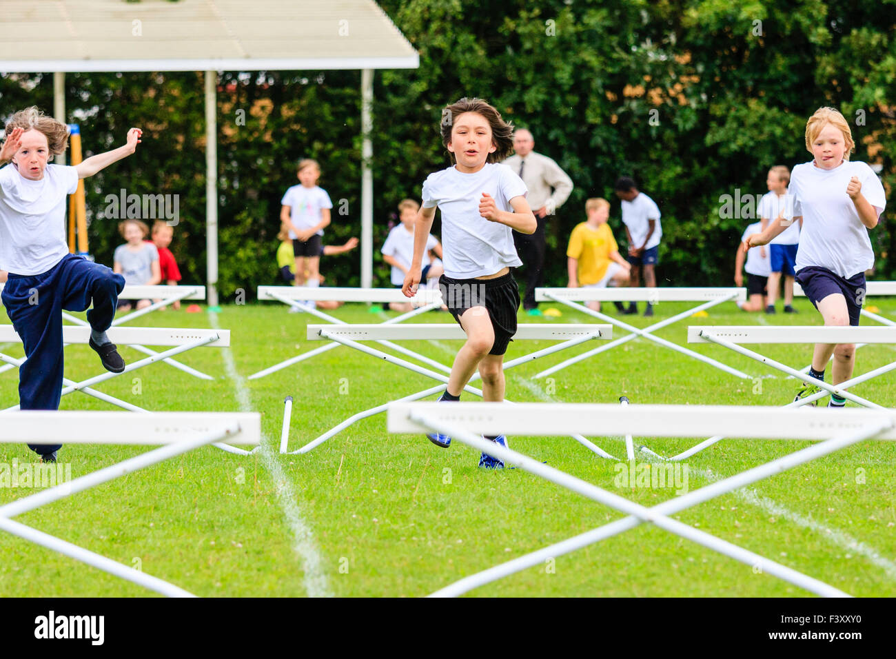 Hurdles Race Stock Photos & Hurdles Race Stock Images Alamy
