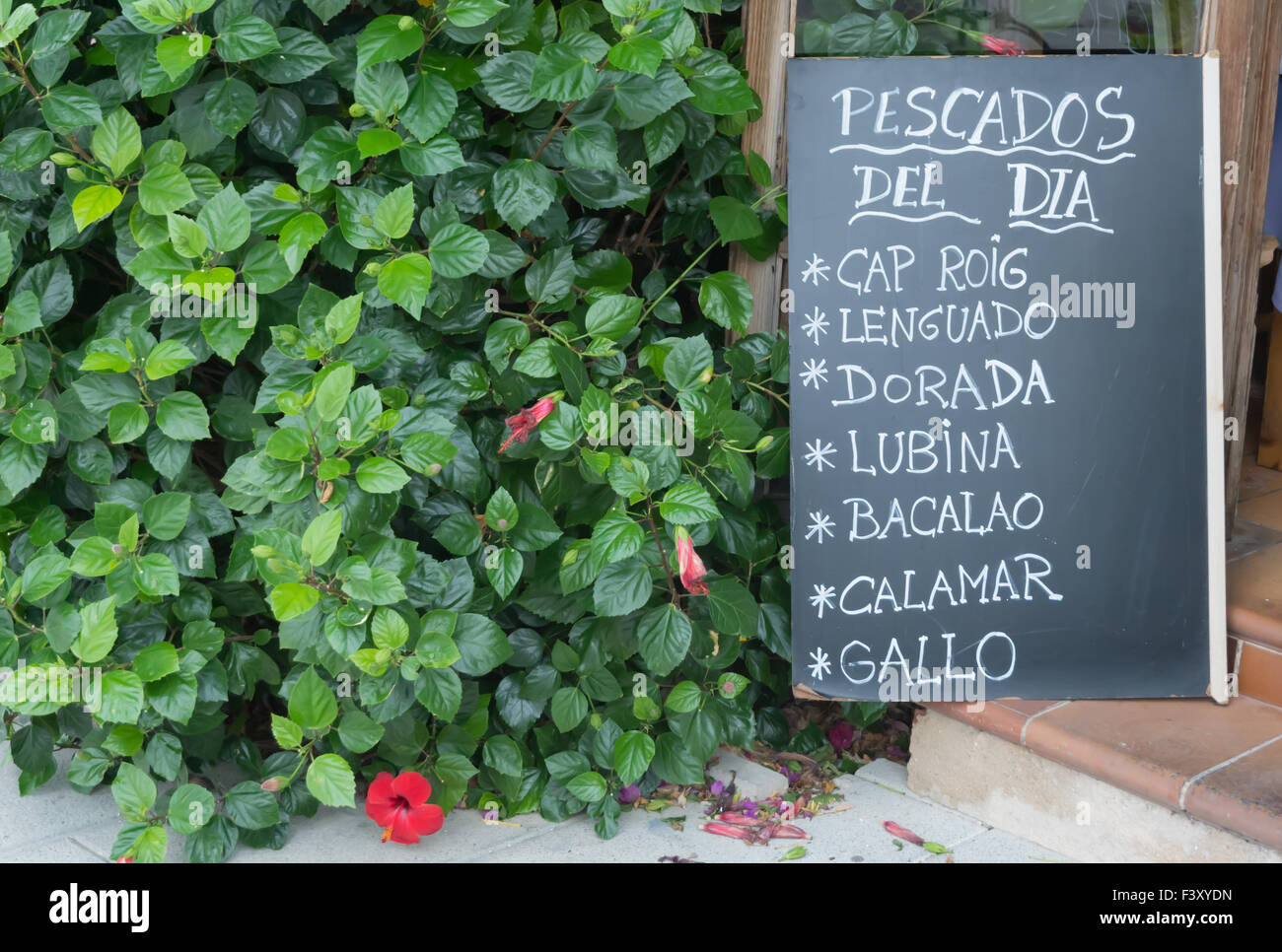 Seafood restaurant blackboard ad in Spanish Stock Photo Alamy