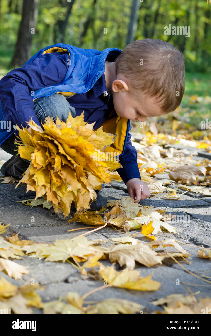 Собрать осенние листья. Дети собирают осенние листья. Дети собирают листочки. Собирать осенние листья. Мальчик в осенних листьях.