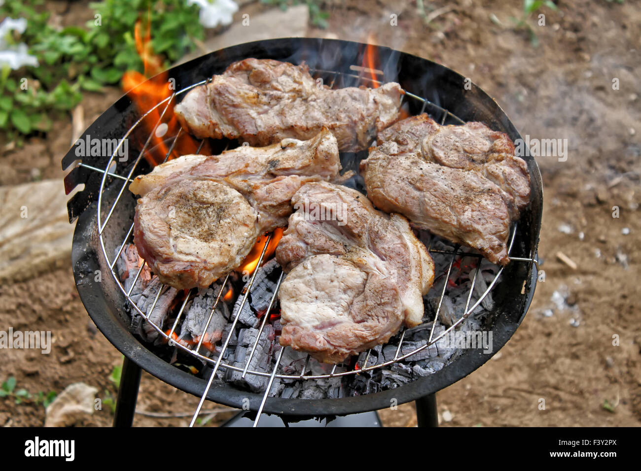 Pieces of juicy fresh meat fried on grill Stock Photo Alamy