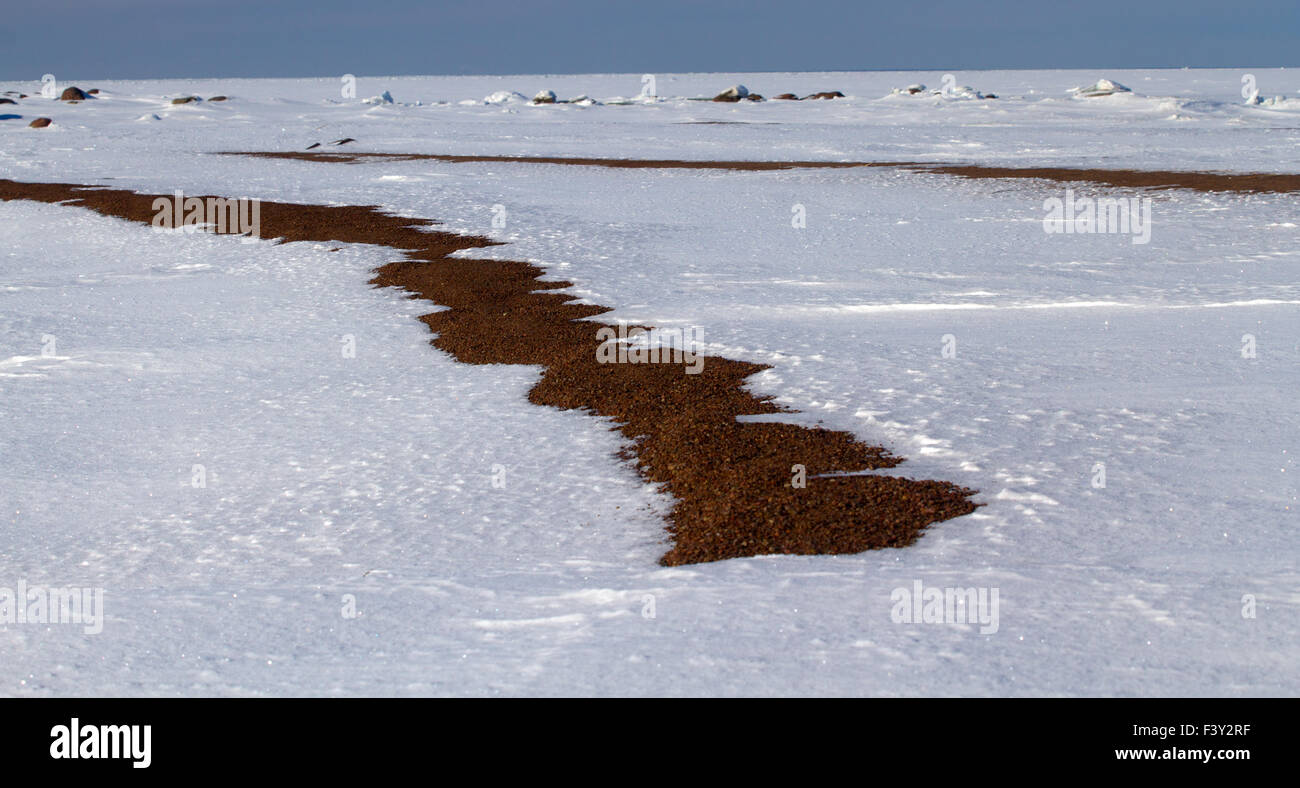 background of fresh snow Stock Photo - Alamy
