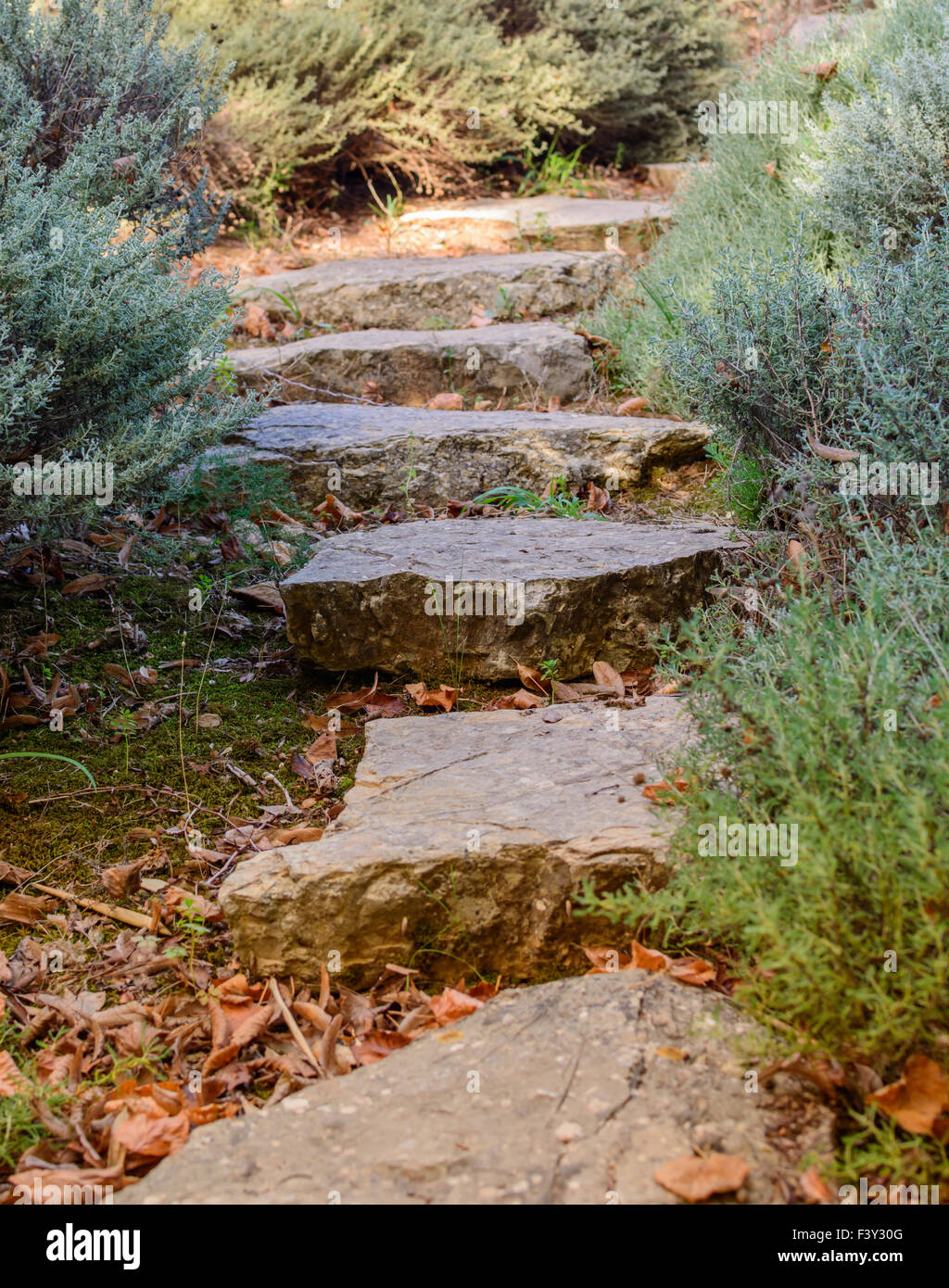 Garden path with slabs of rock Stock Photo