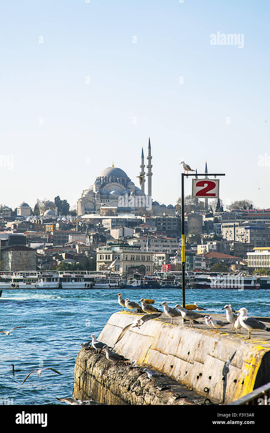 Istanbul at the Bosphorus Stock Photo - Alamy