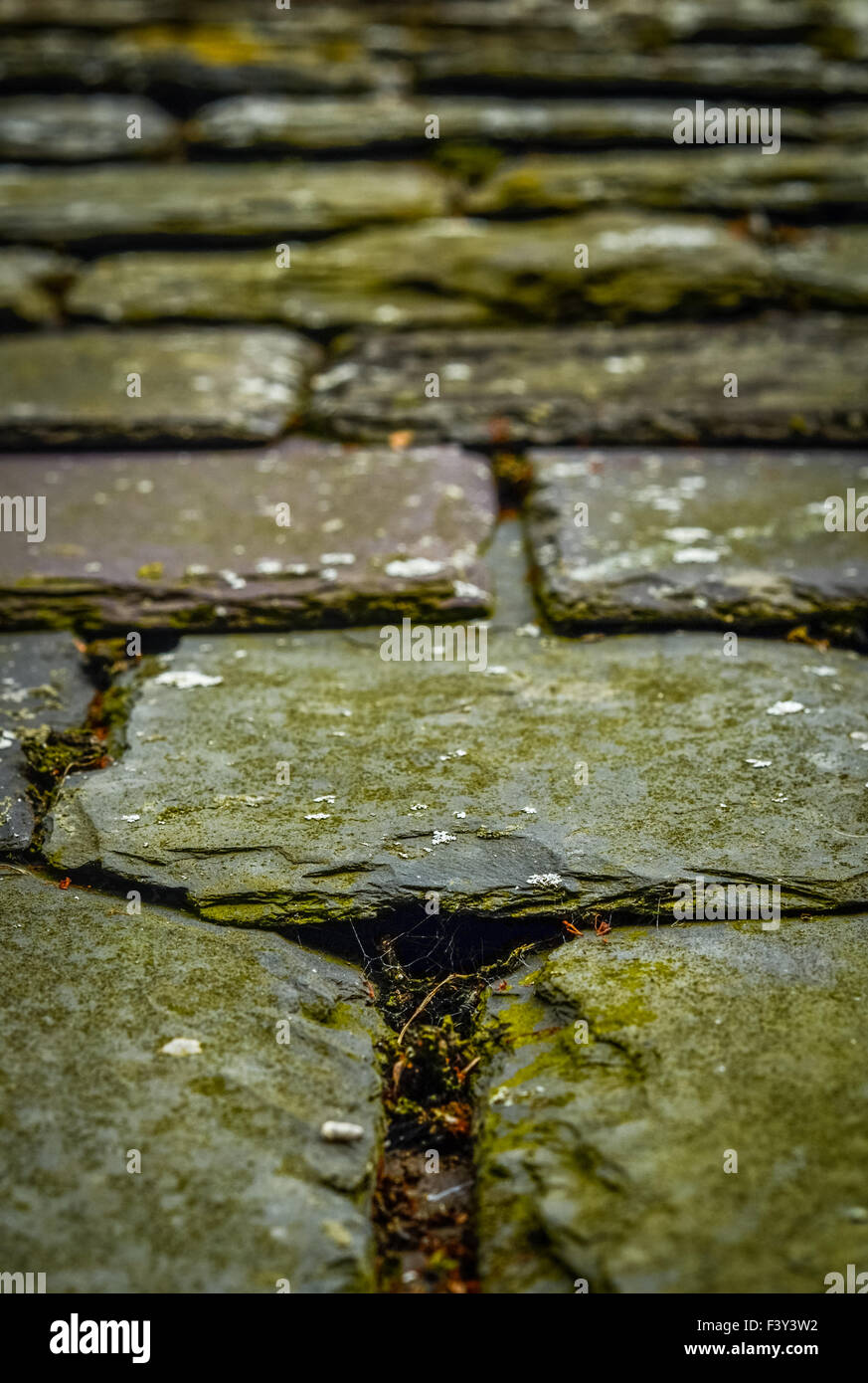 Old Chipped Slate Roof Tiles Stock Photo