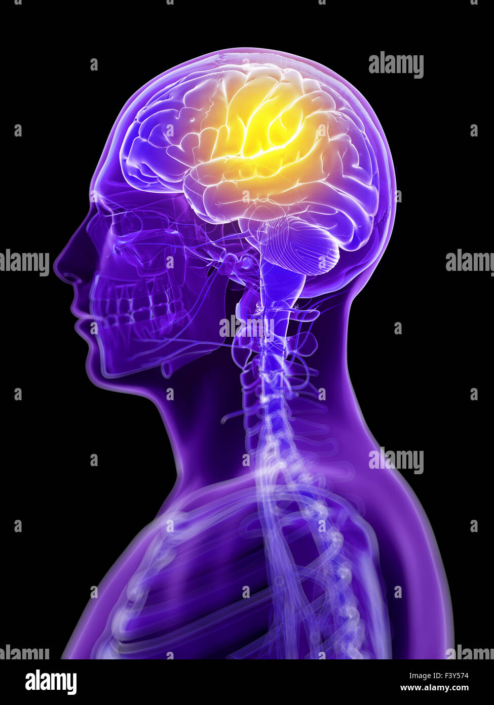 3d rendered illustration - headache Stock Photo - Alamy