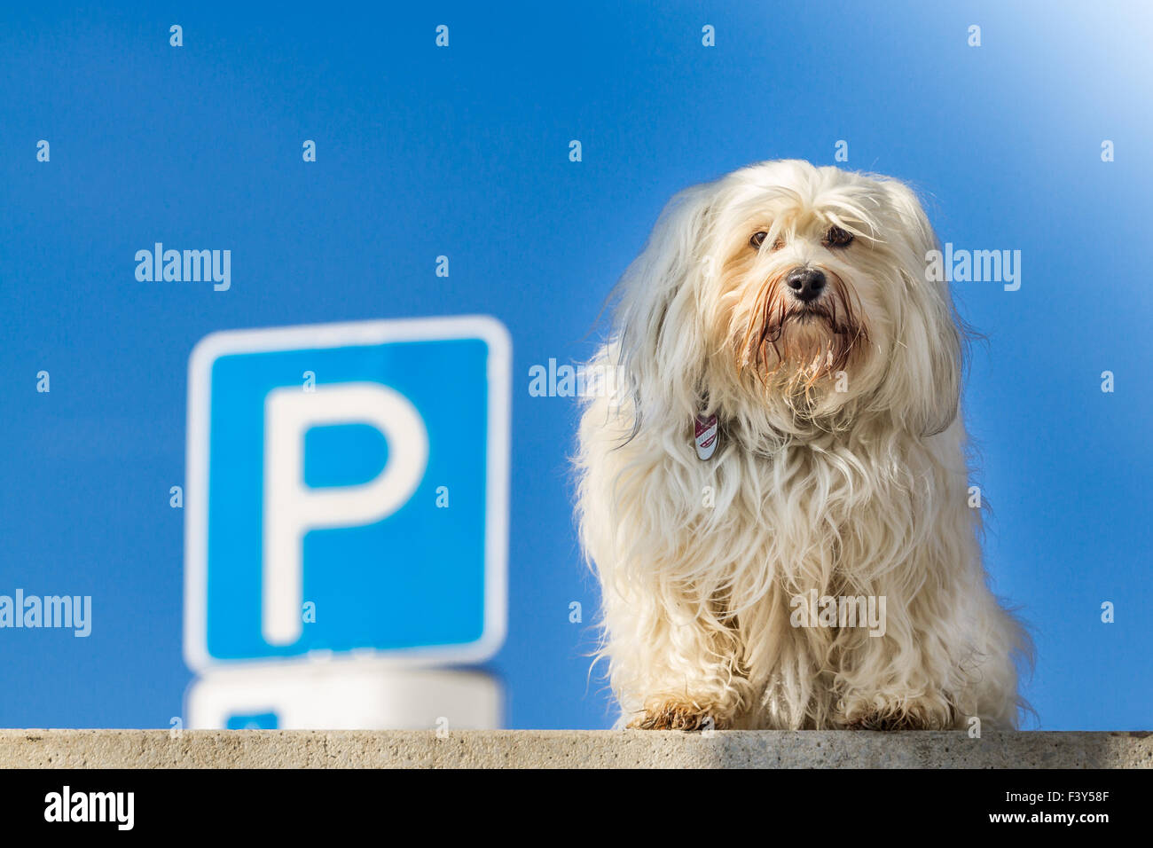 Parking Stock Photo