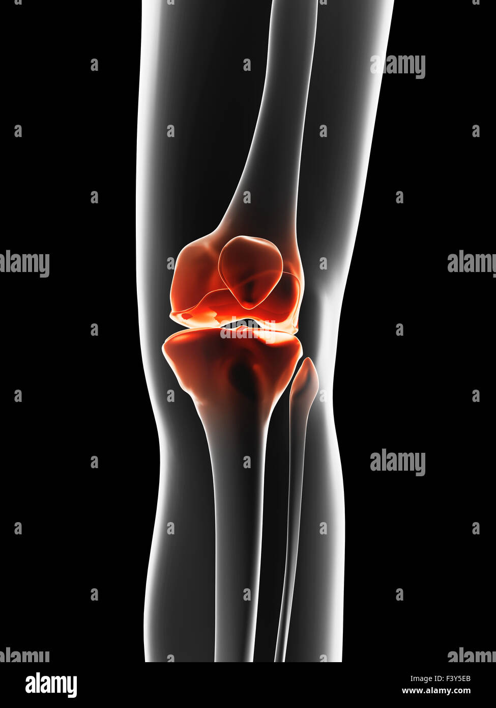 painful knee joint Stock Photo Alamy