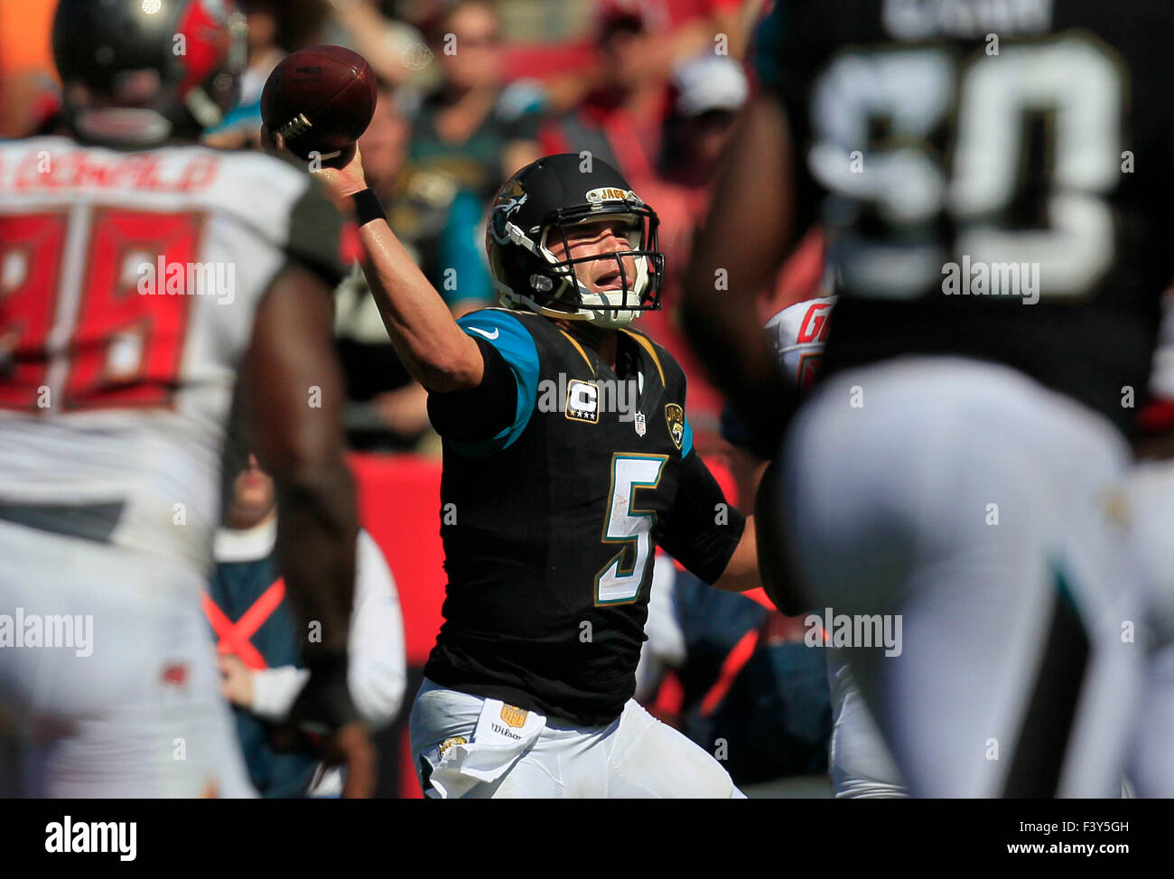 Oct. 11, 2015 - Tampa, Florida, U.S. - DIRK SHADD   |   Times  .Jacksonville Jaguars quarterback Blake Bortles (5) connects for a touchdown pass to Jacksonville Jaguars running back T.J. Yeldon (24) to make the score 23 to 20 during third quarter action at Raymond James Stadium Sunday afternoon in Tampa (10/11/15) (Credit Image: © Dirk Shadd/Tampa Bay Times via ZUMA Wire) Stock Photo