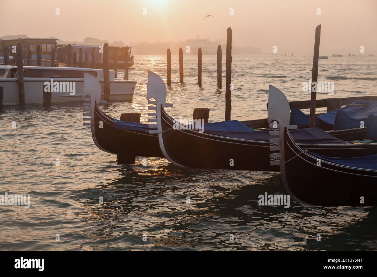 Venetian gondolas at sunrise in Venice Stock Photo - Alamy