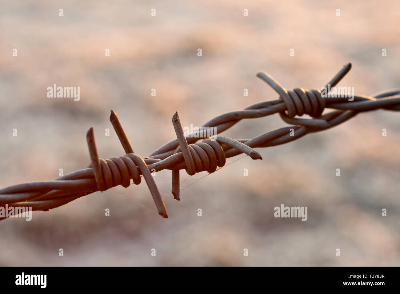 close-up picture of barbed-wire Stock Photo