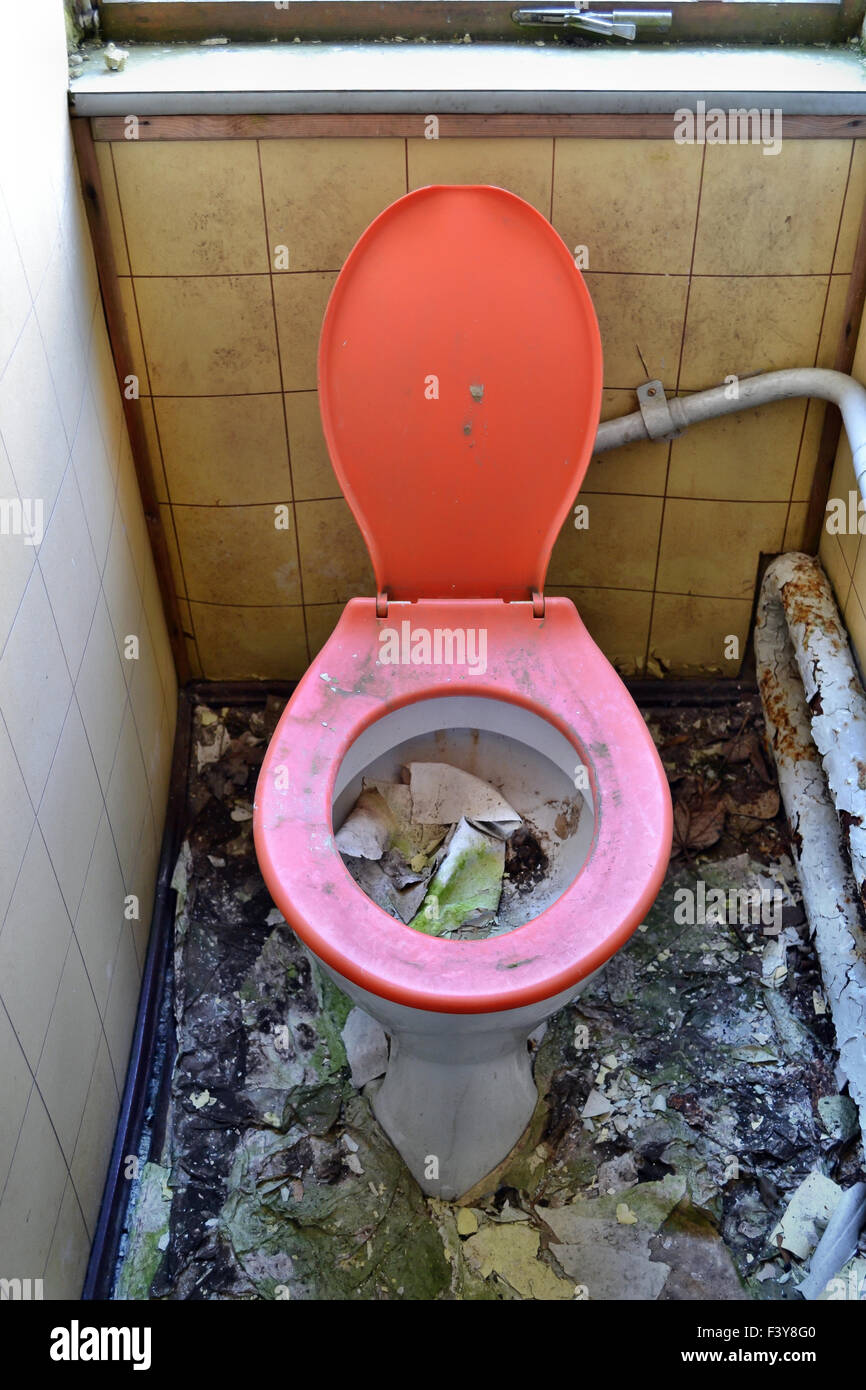 old toilet Stock Photo Alamy