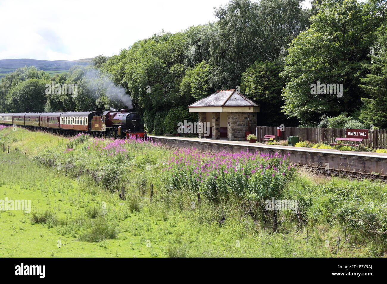 Steam train of the East Lancs Railway arrives at Irwell Vale station. Stock Photo