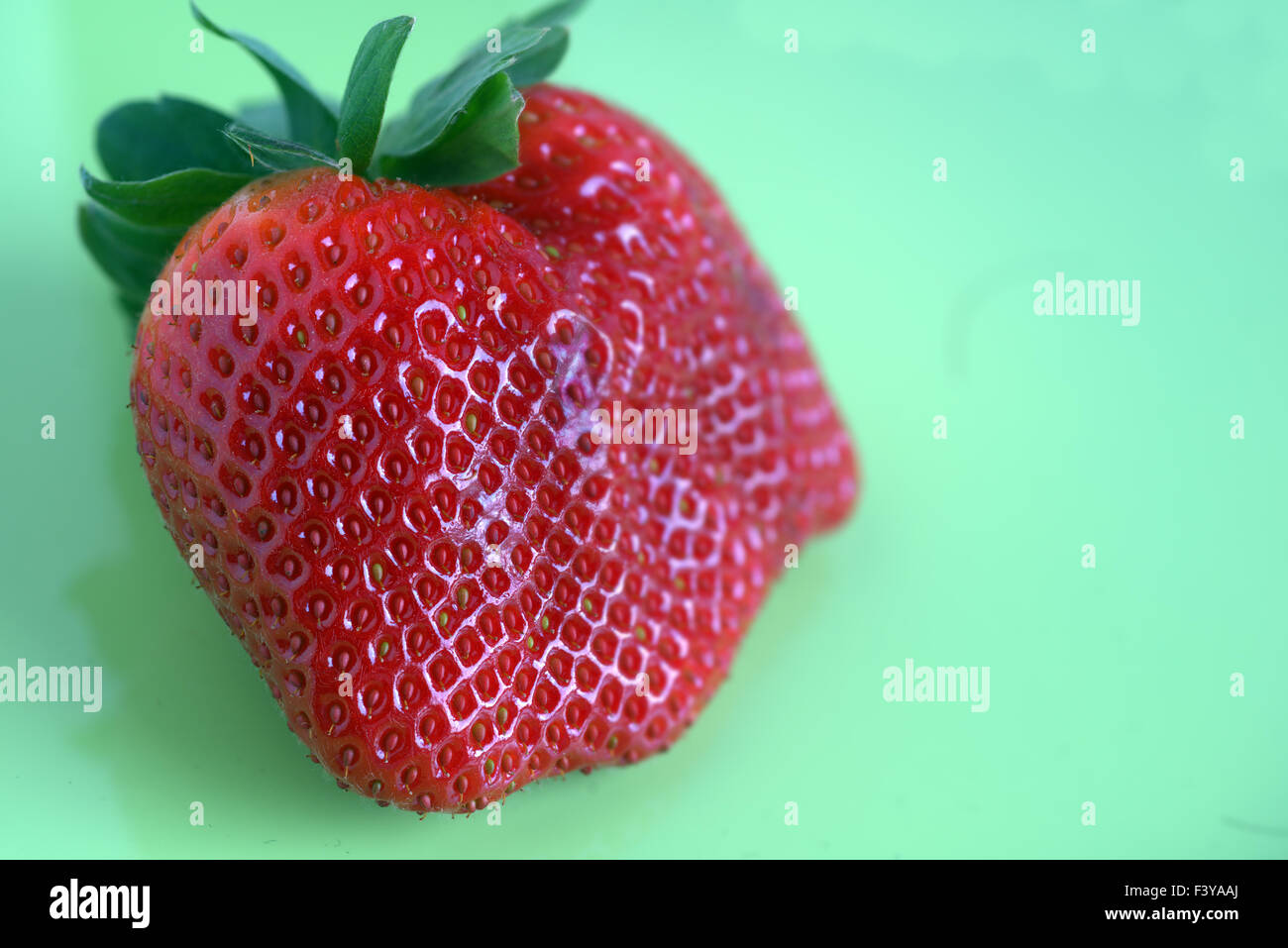 Giant strawberry Stock Photo