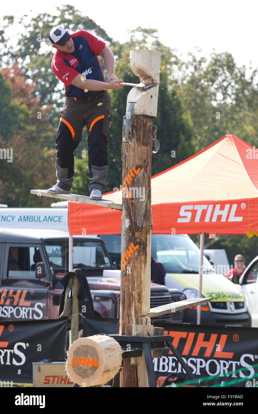 British lumberjacks show of their skills with STIHL German manufacturer of chainsaws exhibition at RHS Wisley, Surrey, England Stock Photo