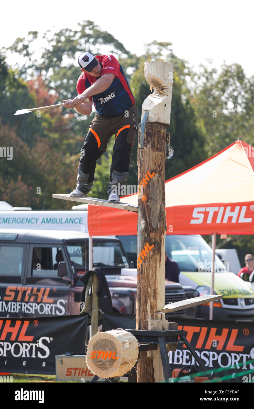 British lumberjacks show of their skills with STIHL German manufacturer of chainsaws exhibition at RHS Wisley, Surrey, England Stock Photo