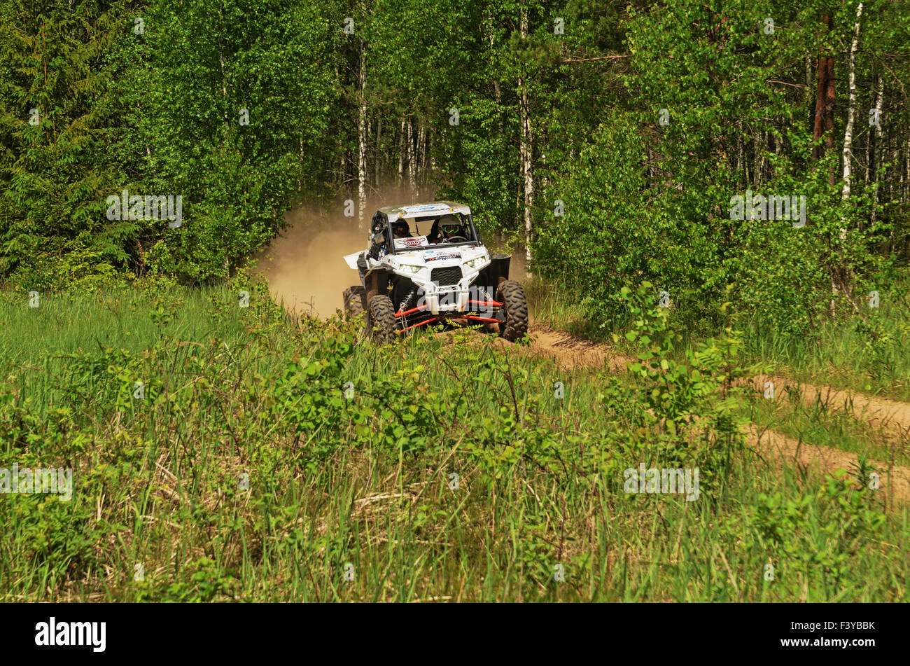 Rally car on special forest hi-res stock photography and images - Alamy