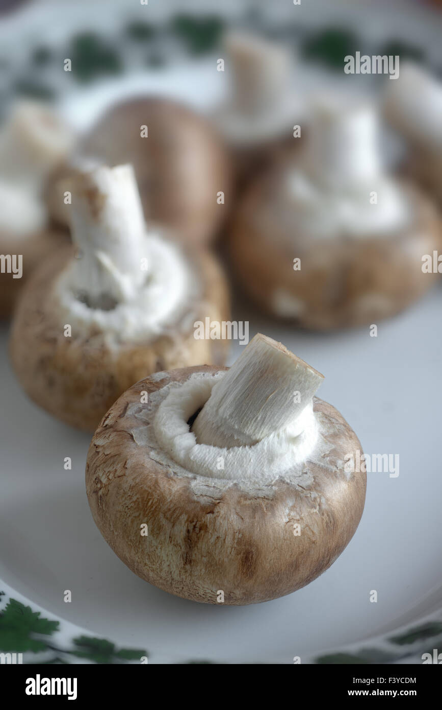 Cultivated champignons Stock Photo