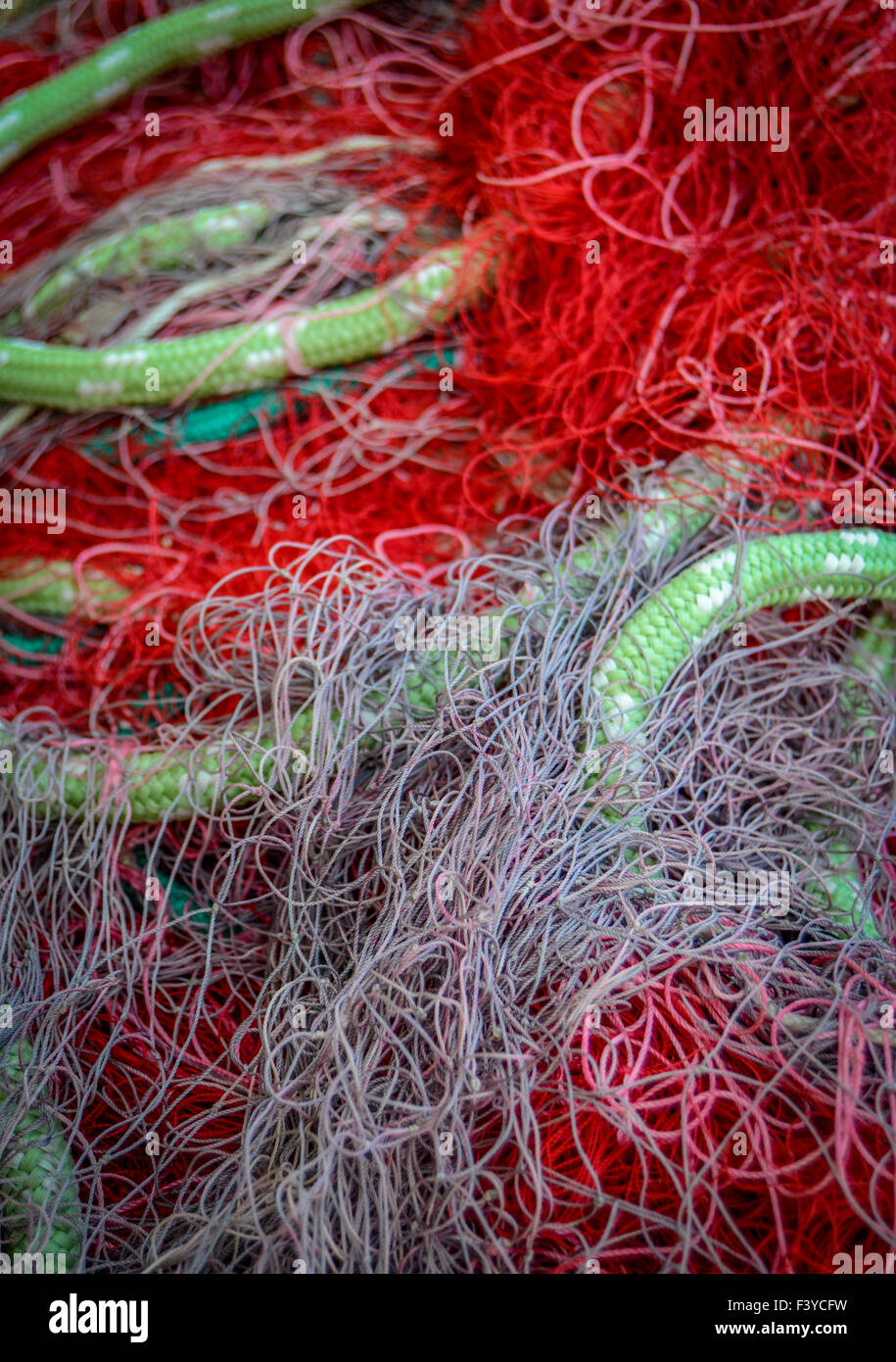 Group Tadpoles On Red Fishing Net Stock Photo 1698392638