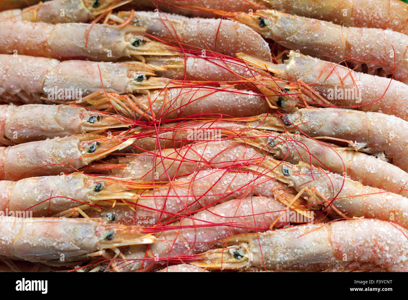 Deep frozen boiled shrimps.Tasty seafood Stock Photo Alamy