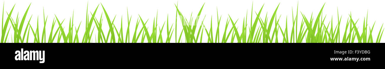 Green grass isolated on a white background Stock Photo - Alamy