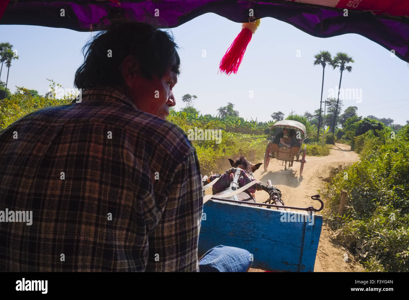 Horse-drawn carriages, Inwa, Myanmar, Asien Stock Photo