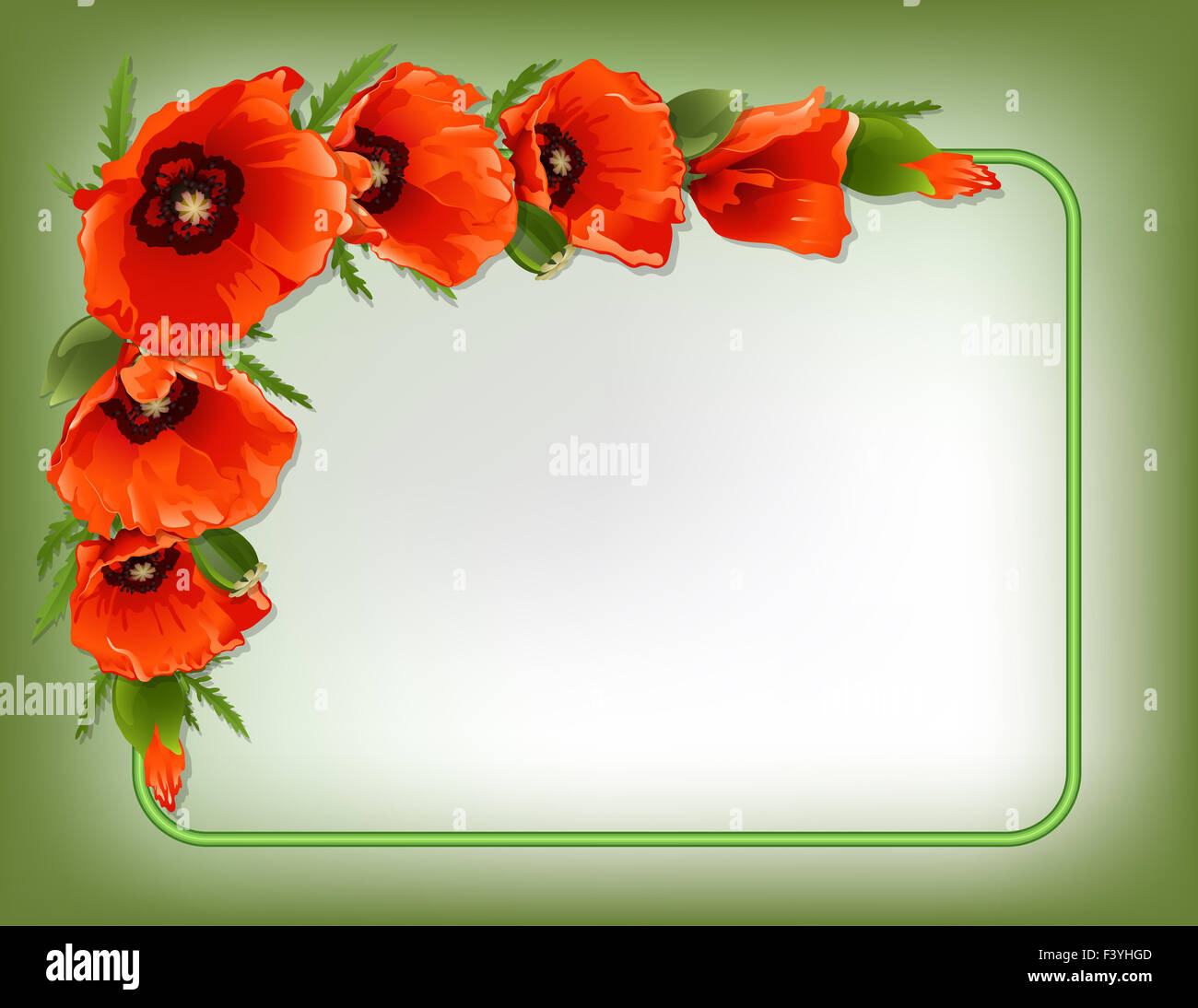 Red poppies floral frame, vector Stock Photo - Alamy