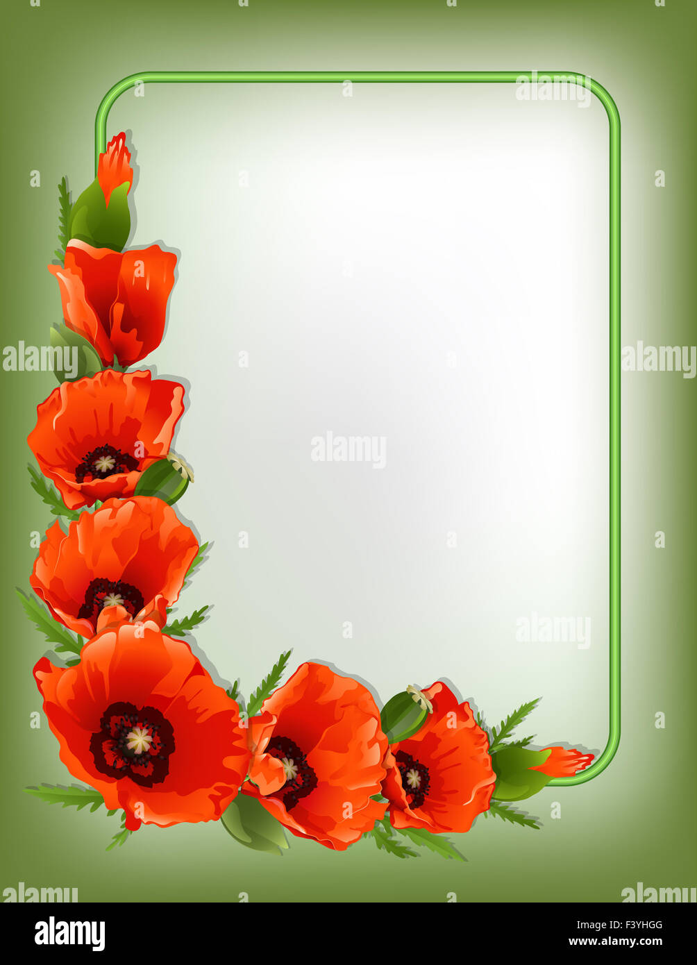 Red poppies floral frame, vector Stock Photo - Alamy