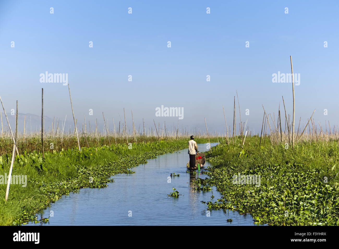 Floating gardens, Inle Lake, Myanmar, Asia Stock Photo Alamy