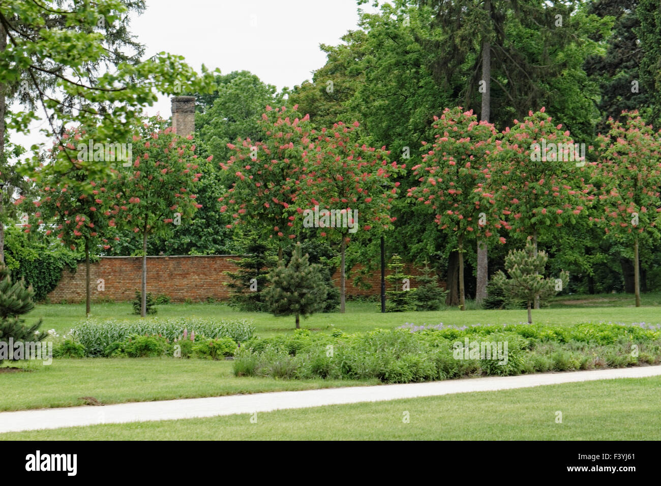 Beautiful landscape green park hi-res stock photography and images - Alamy