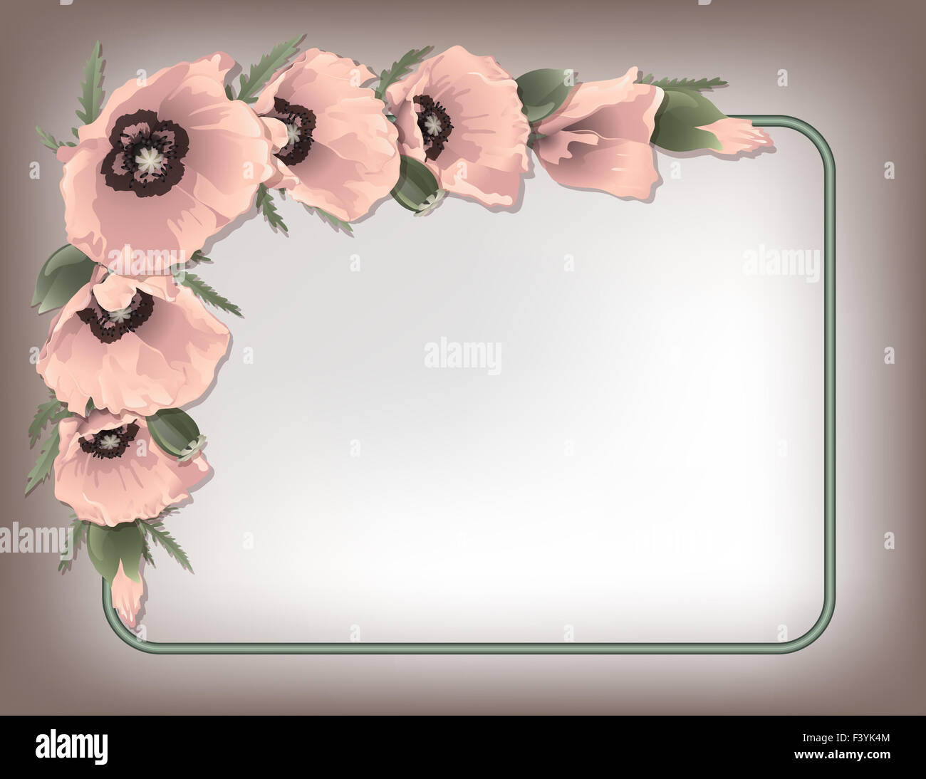 Pink poppies floral frame, vector Stock Photo