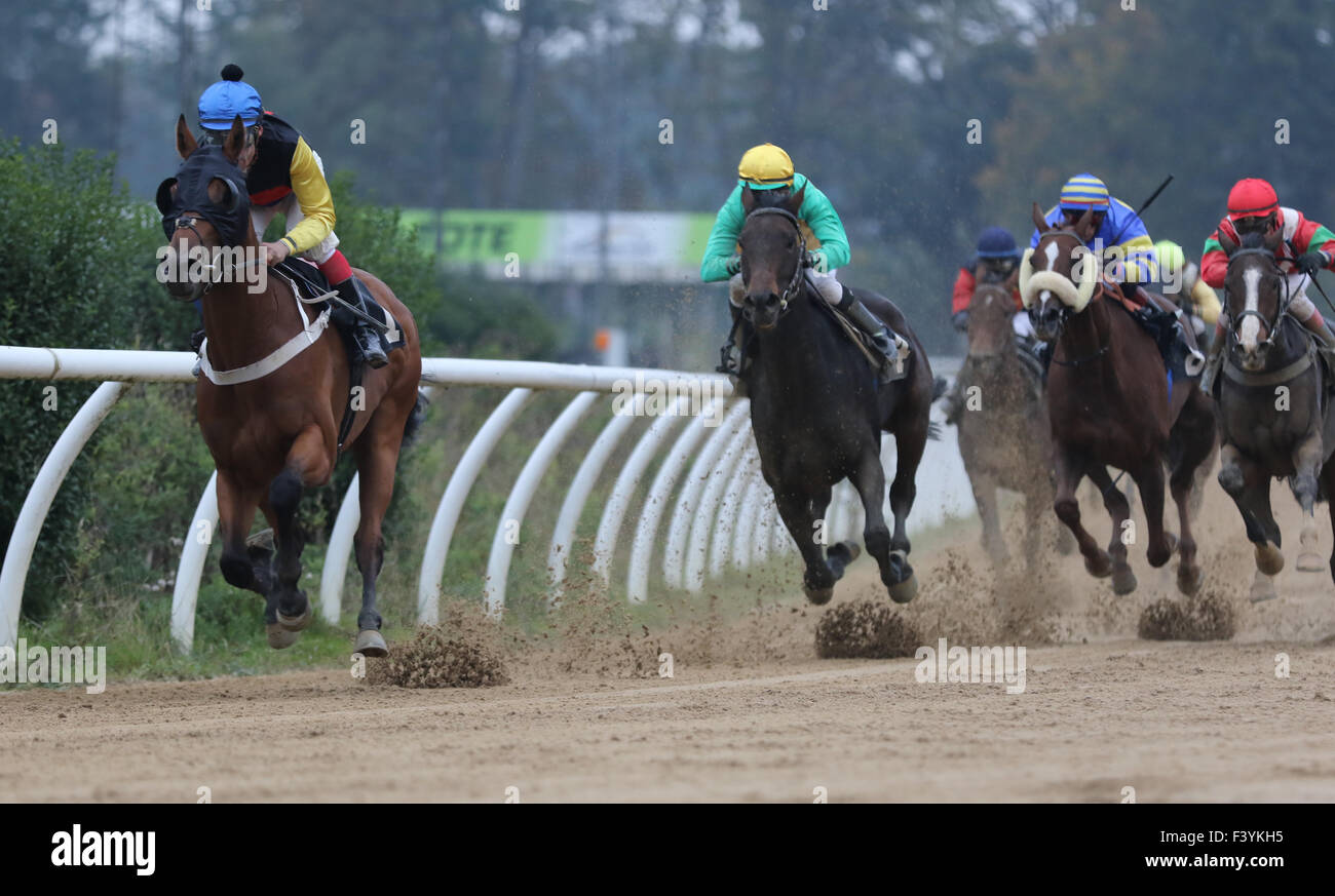 Neuss, Germany. 13th Oct, 2015. Neusser Reiter und Rennverein 1825. Neuss, 41460 Germany. 13th October 2015. Race night in Neuss, brought by German Gallop. Seven flat races, throughout the evening, on the dirt track. Race 2. The first and final corner. Credit:  Ashley Greb/Alamy Live News Stock Photo