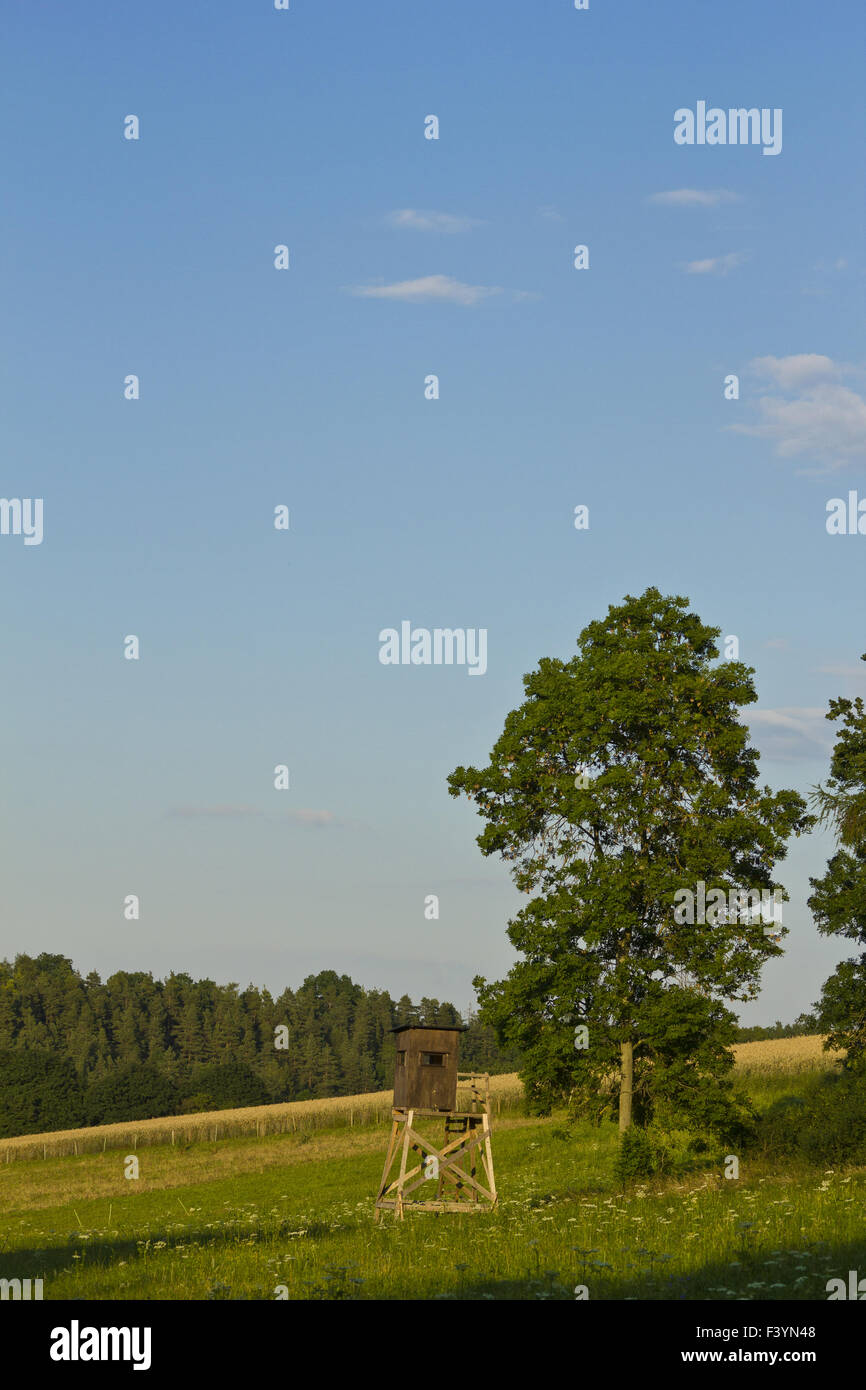 Landscape with hunters stand hunting Stock Photo Alamy