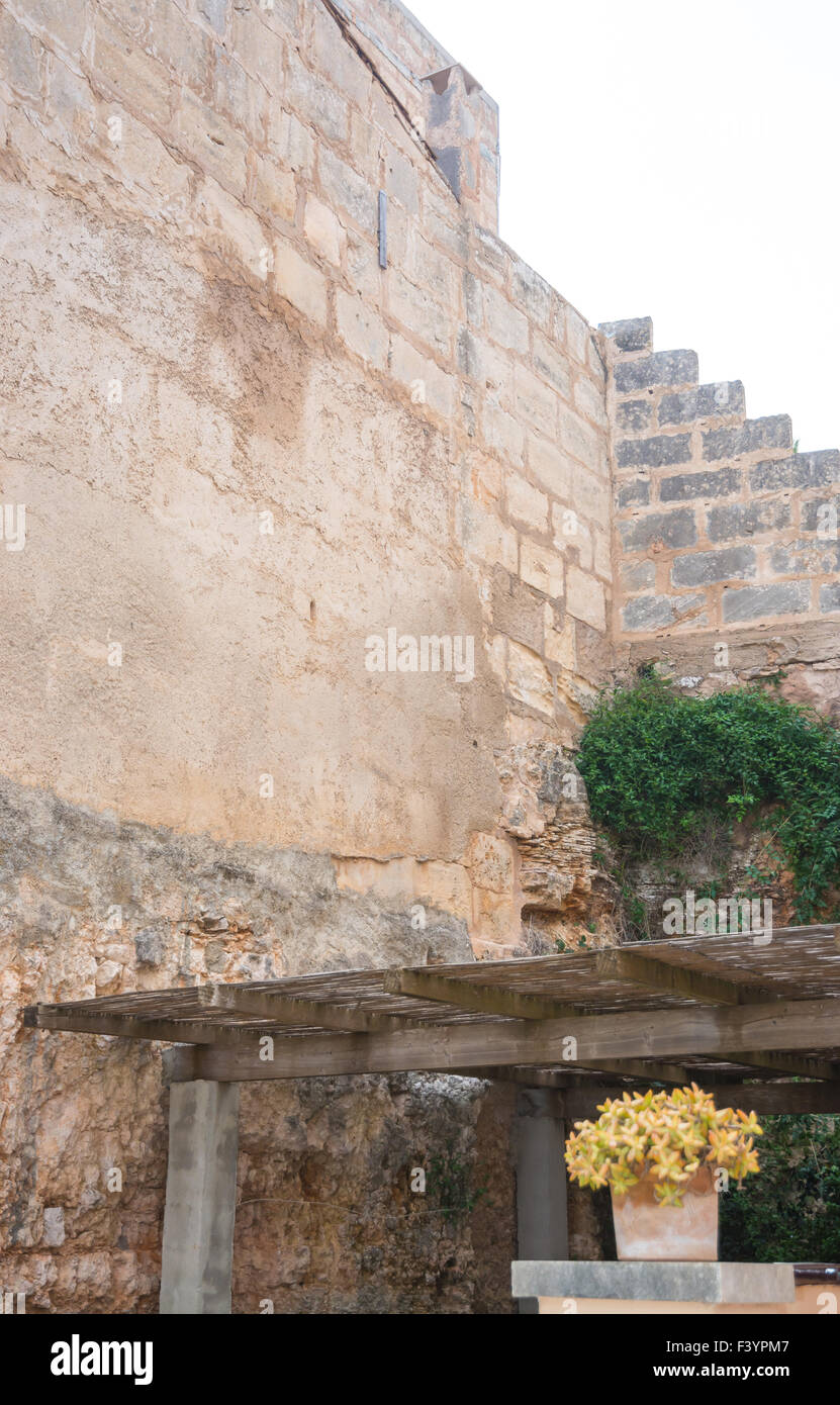Simplicity, authentic old wall and flower Stock Photo