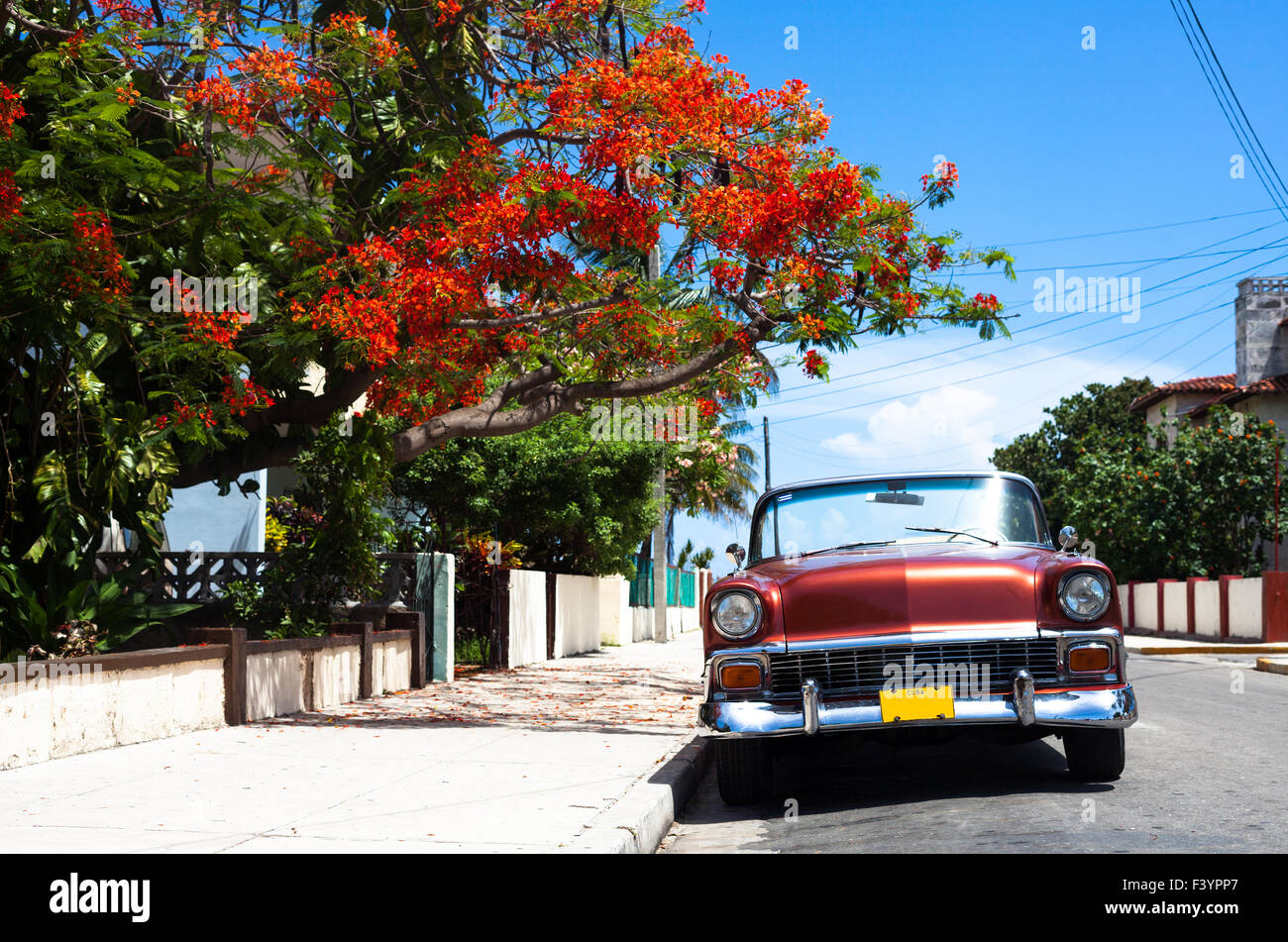 Cuba classic car 3 Stock Photo