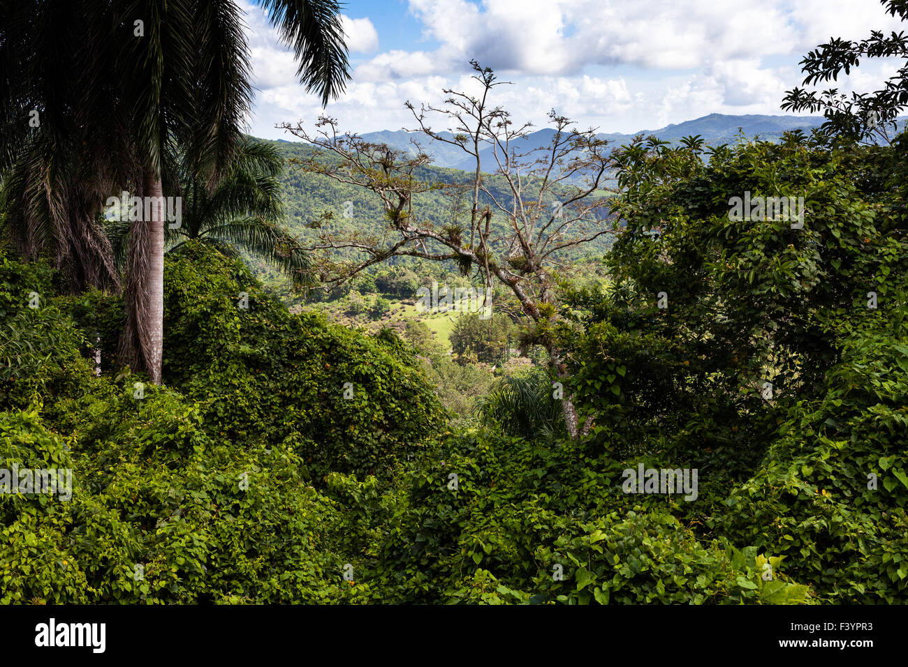 Cuba Sierra Maestra landscape mountains Stock Photo Alamy