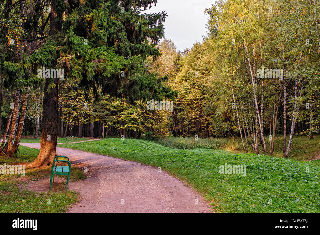 Trees in autumn colors in park Stock Photo - Alamy