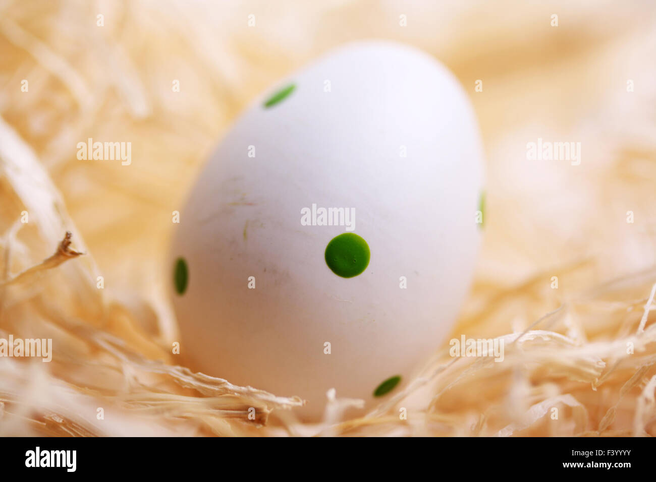 white easter egg with green spots on straw Stock Photo Alamy