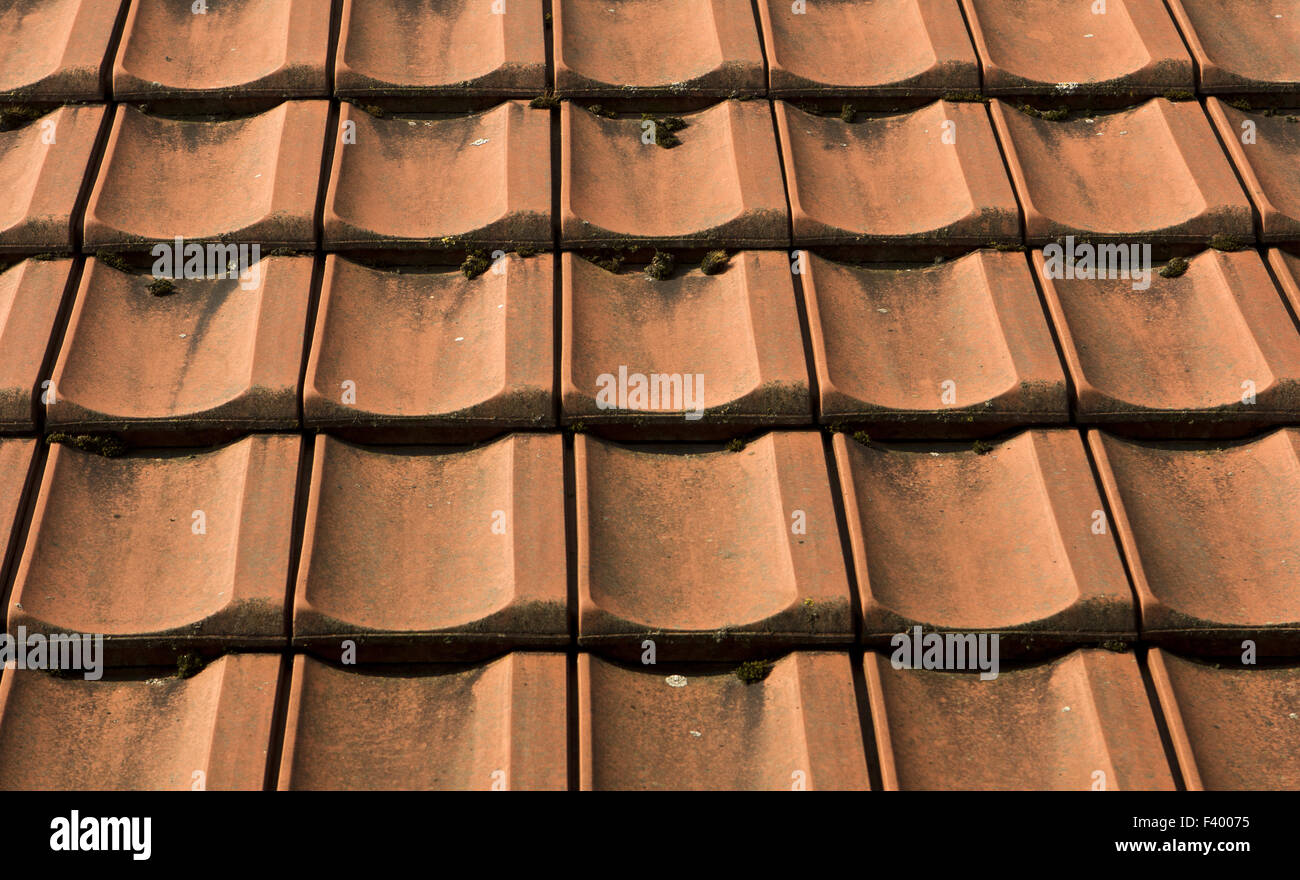 red roof tiles completely laid Stock Photo