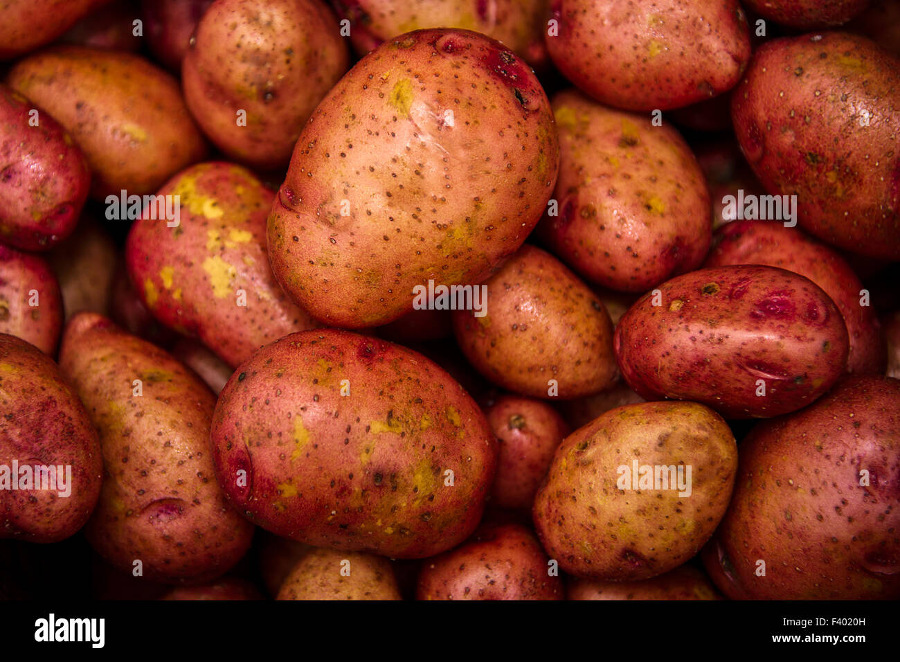 Kartoffel erde hi-res stock photography and images - Alamy