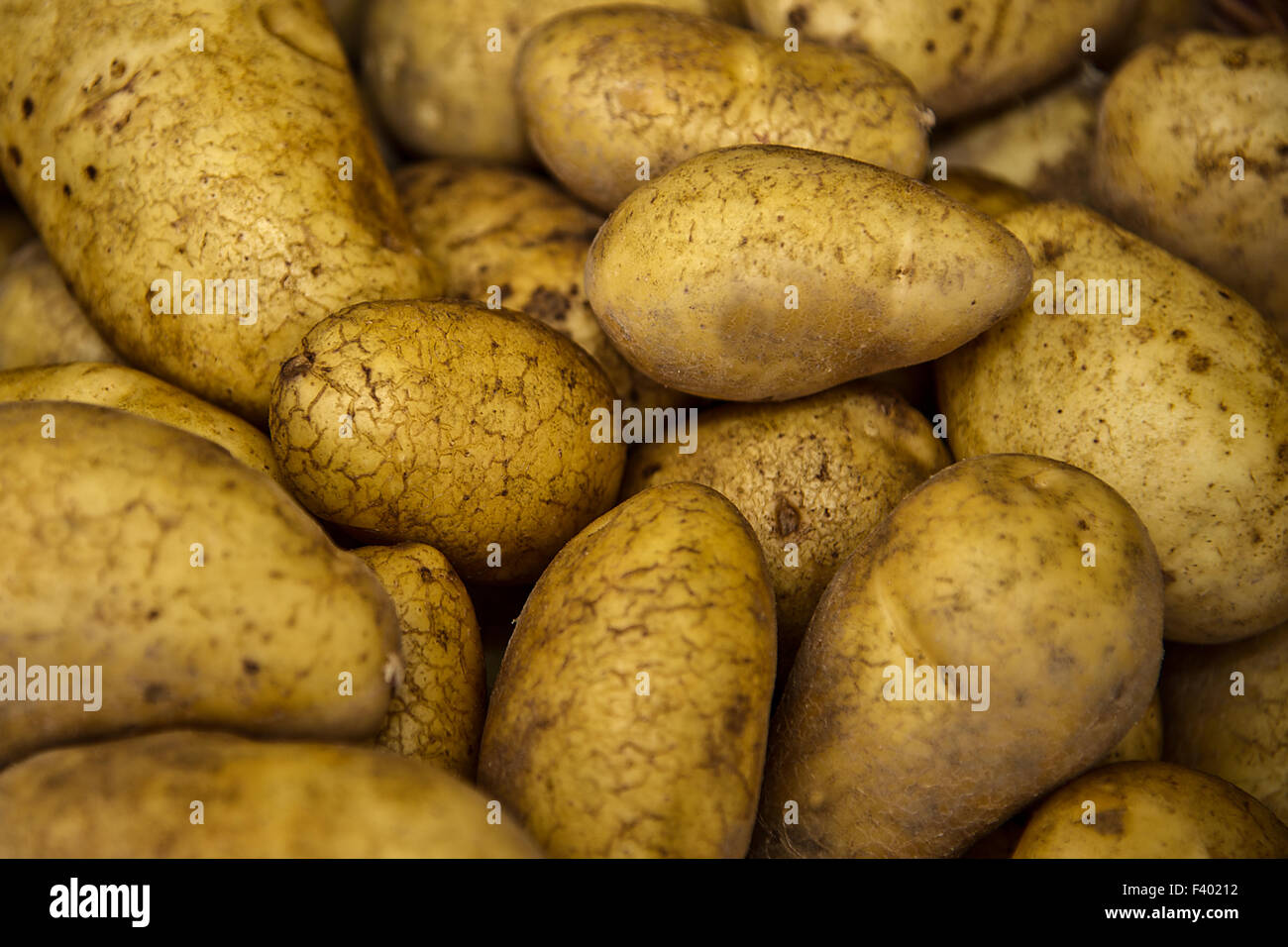Kartoffel Sorten High Resolution Stock Photography and Images - Alamy