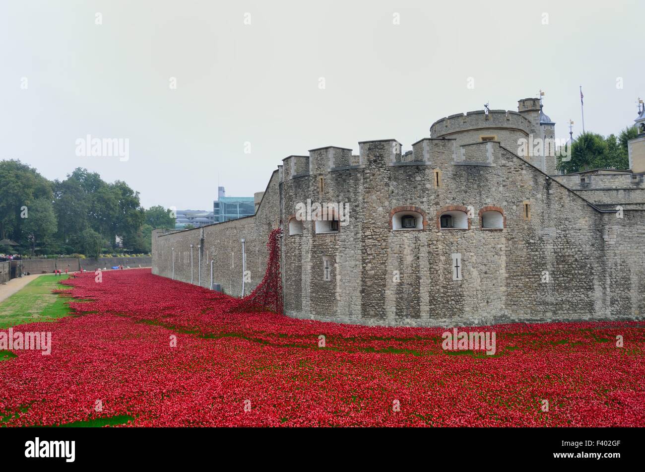 Rememberance poppies at tower Stock Photo