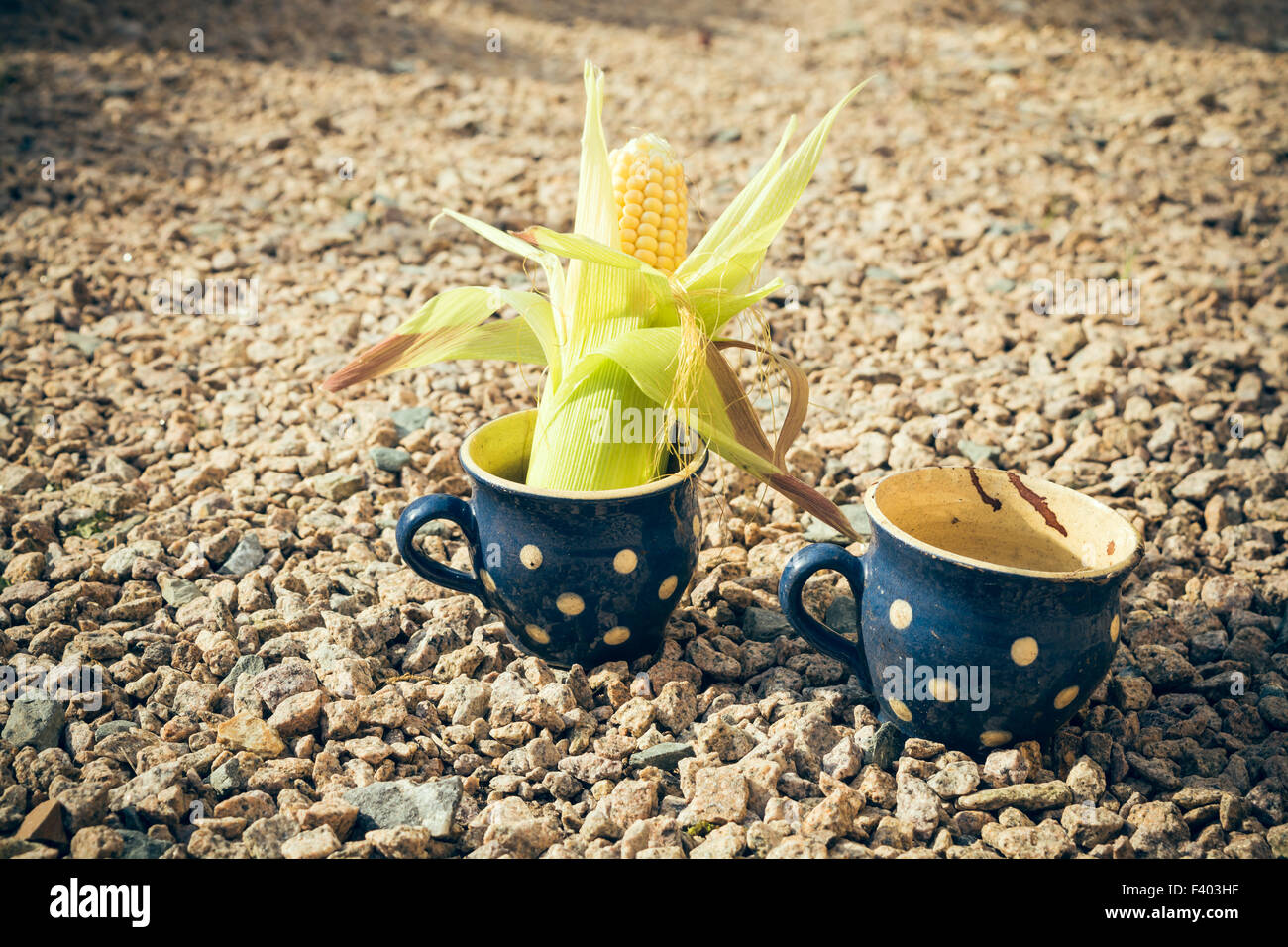 Cup corn hi-res stock photography and images - Alamy