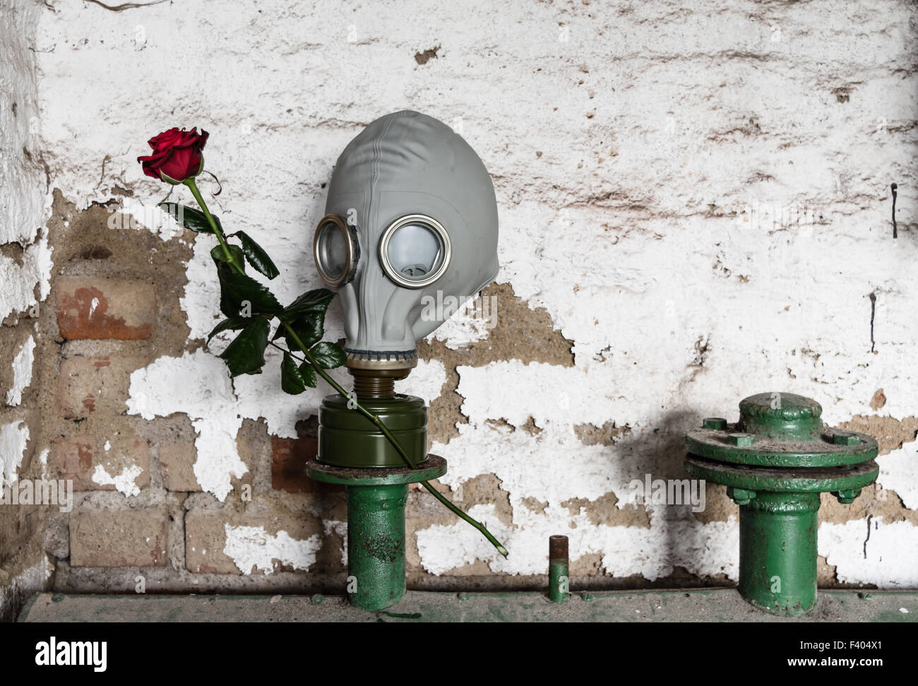 Download Mask With Rose High Resolution Stock Photography And Images Alamy PSD Mockup Templates