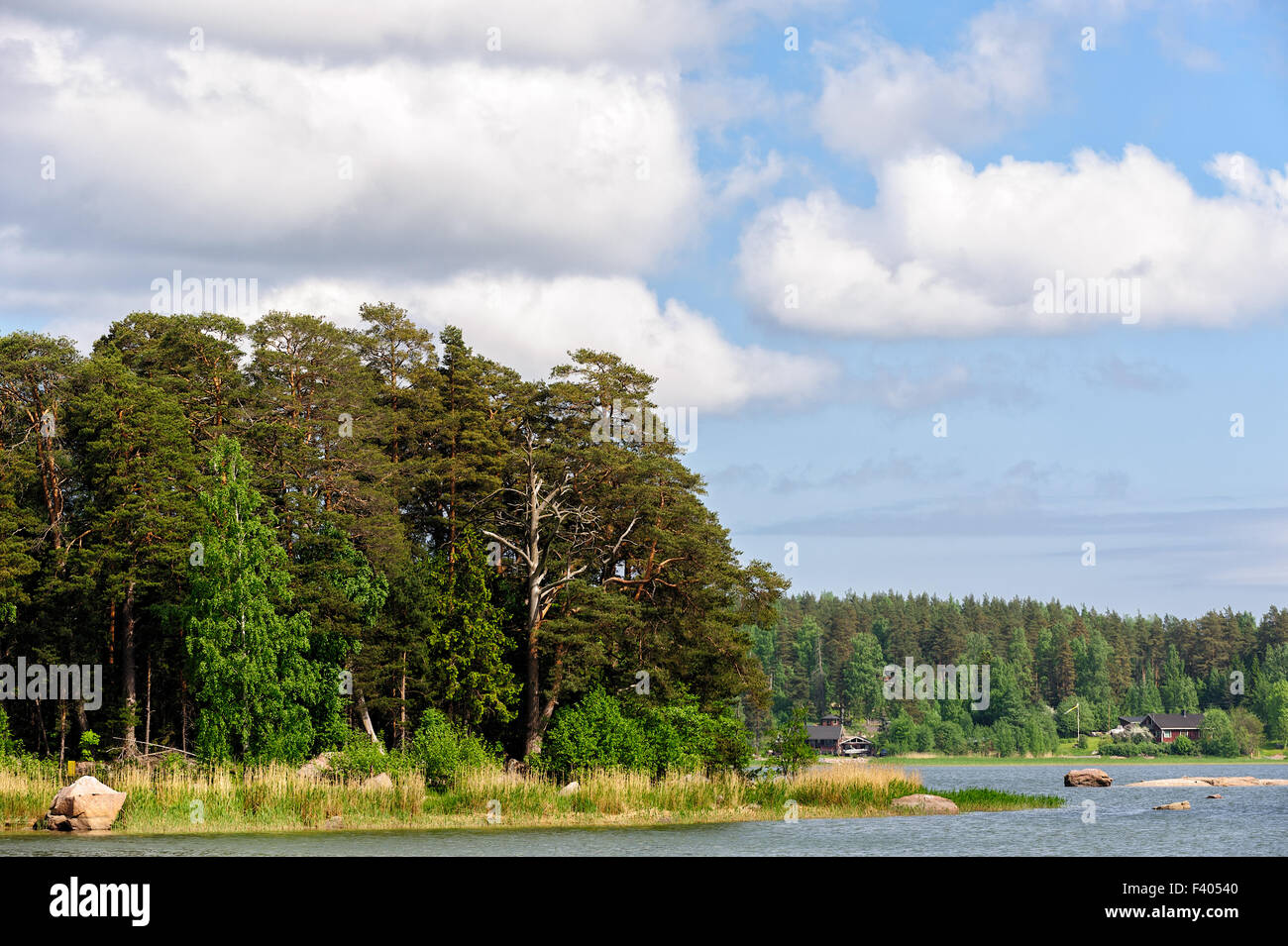 Forest on islands in finland gulf Stock Photo