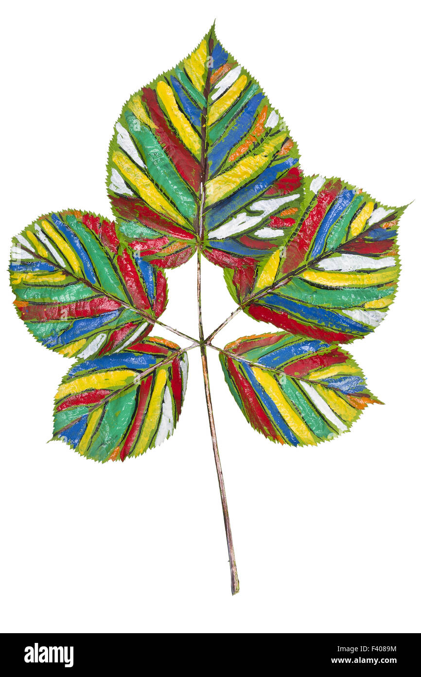 Rainbow colored leaf Stock Photo