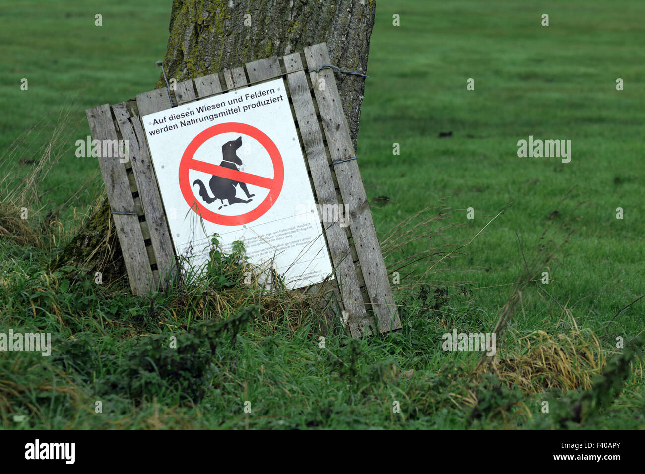 No dog excrements, Bavaria, Germany Stock Photo
