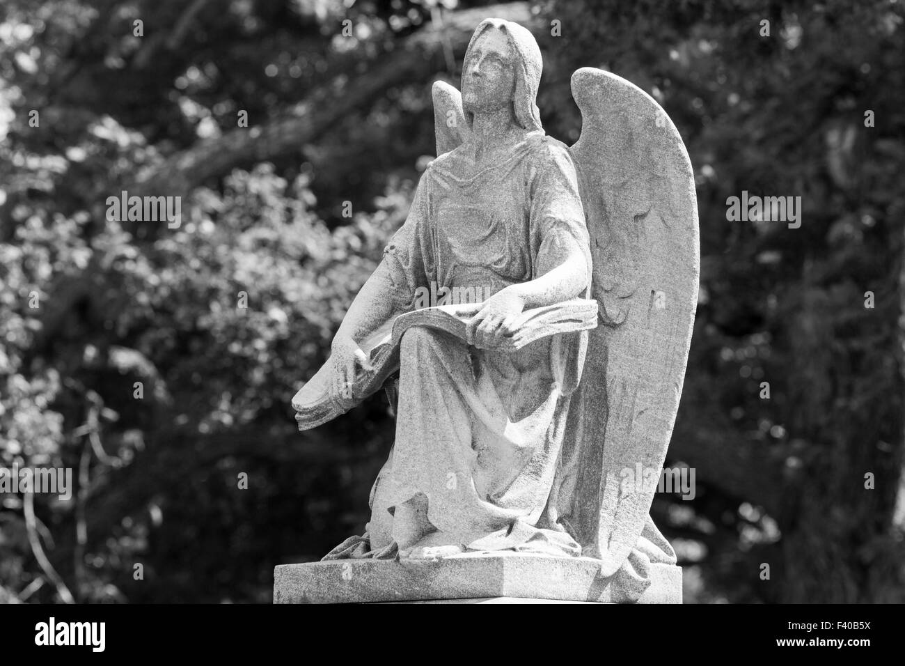 Cemetery Angel With Big Book Stock Photo