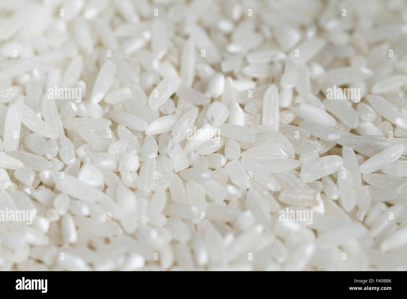 Close up phot lot of white rice Stock Photo