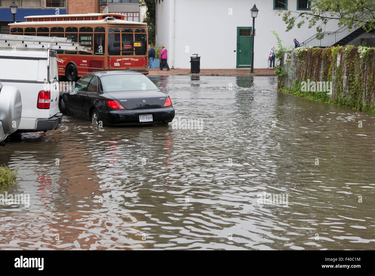 Car driving through flooded street - Alexandria, Virginia USA Stock Photo
